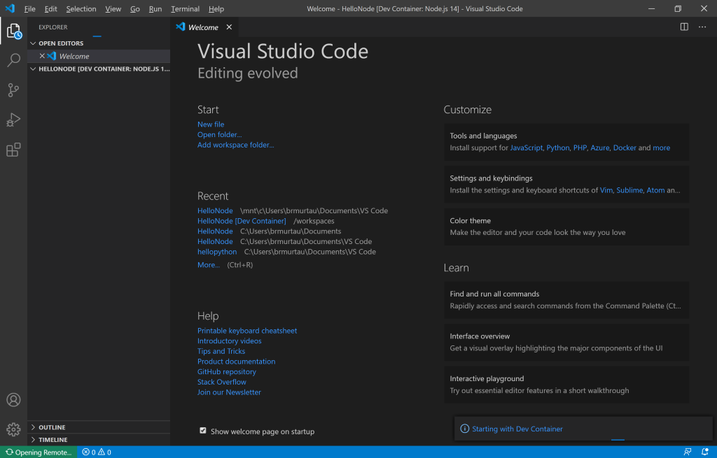 VS Code instance starting with Dev Container