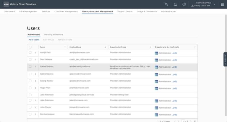 Manage User Access to Metering and Billing in VMware Cloud Partner Navigator