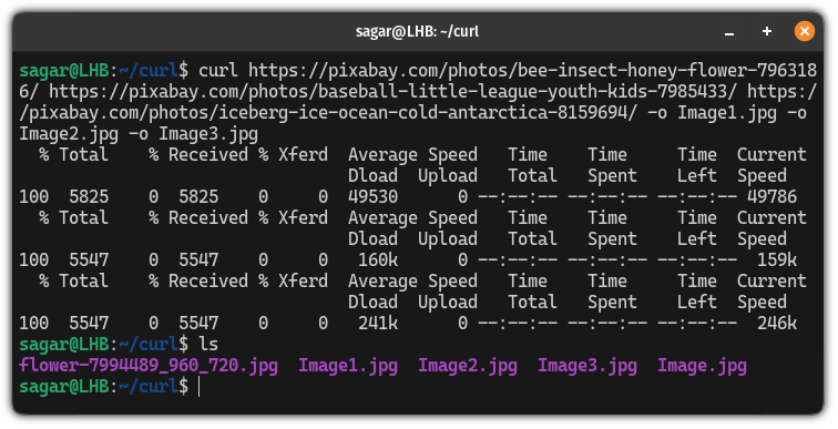 Save multiple files using the cURL command in Linux