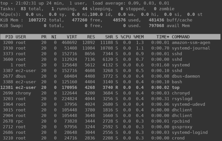 How to strip down Amazon Linux EC2 to maximize available RAM