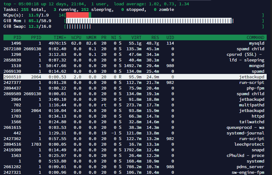 Linux top customization