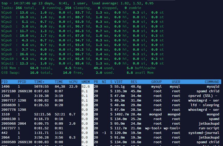 Customize Linux top - example