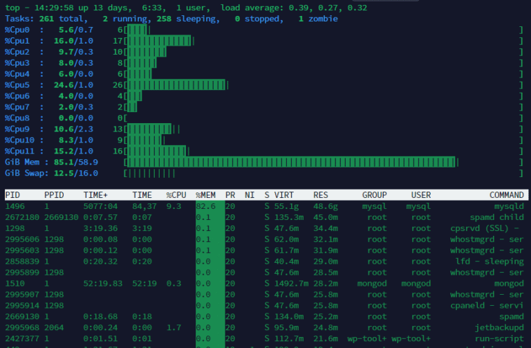 Linux top: Here’s how to customize it