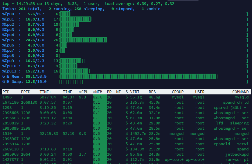 Linux top - after customization