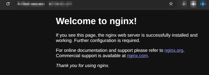 Start an Nginx web server container bound to port 80. Start an Nginx web server container bound to port 80.