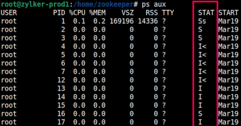 Why Linux Servers Slow Down: R, S, D, Z and T Process States Explained