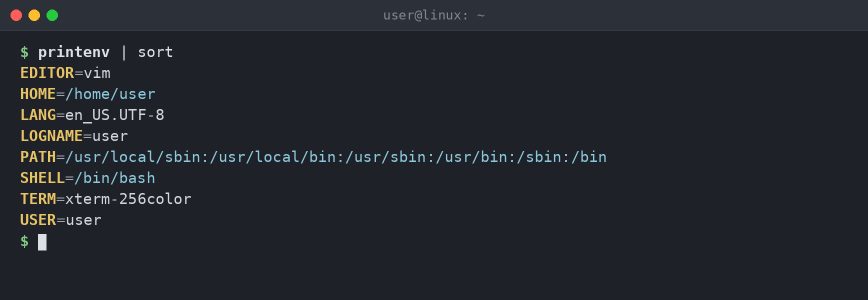 Output of the printenv command showing common Linux environment variables including PATH, HOME, USER, and SHELL
