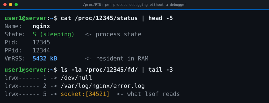 Terminal showing /proc/PID/status output for an nginx process and its open file descriptors under /proc/PID/fd