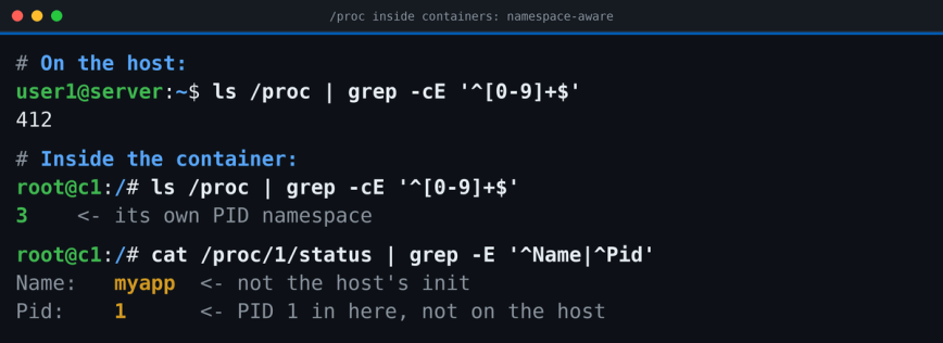 Terminal comparing /proc process counts on a Linux host versus inside a Docker container showing PID namespace isolation