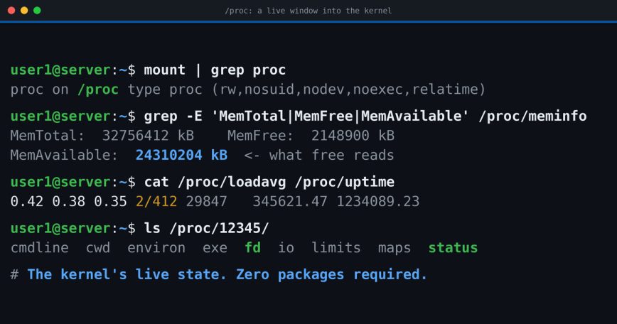 Terminal showing cat /proc/meminfo, readlink /proc/self, and mount output demonstrating the Linux /proc virtual filesystem